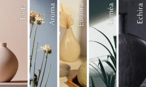 2026-wall-colour-trends